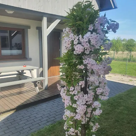 Reyes Ii - Klimatyzowane * クリニツァ・モルスカ