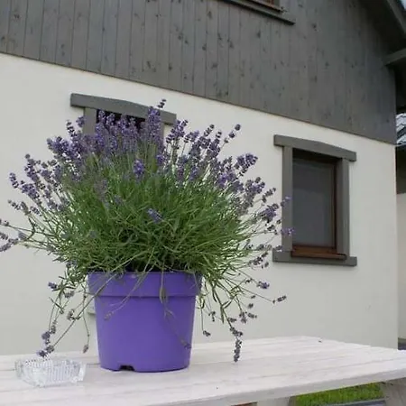 Reyes Ii - Klimatyzowane