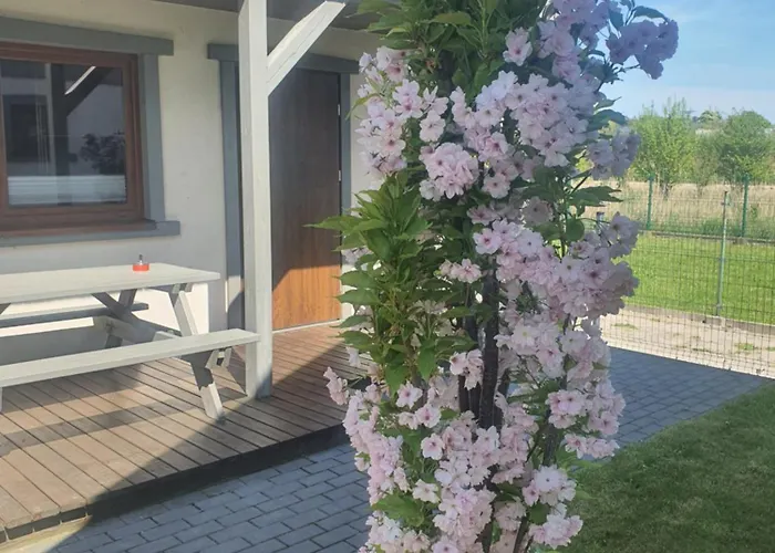 Reyes Ii - Klimatyzowane * Krynica Morska