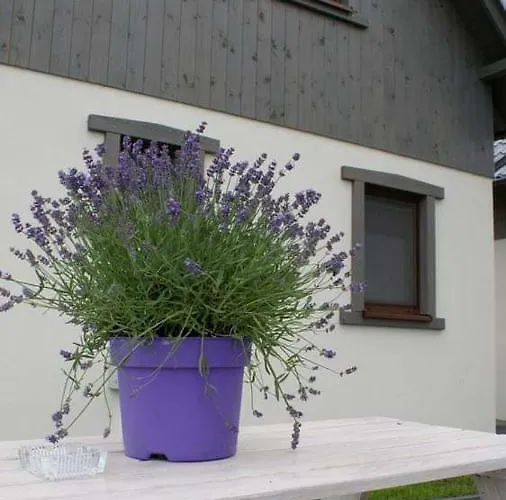 Reyes Ii - Klimatyzowane